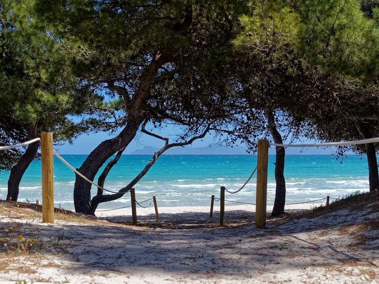 Auf Mallorca locken zahlreiche ruhige Badebuchten und Strände abseits von touristischen Spots. Mallorcas ruhige Strände
