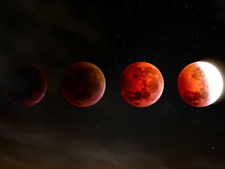 Auch 2025 warten spannende Himmelsphänomene. Mond in verschiedenen Phasen