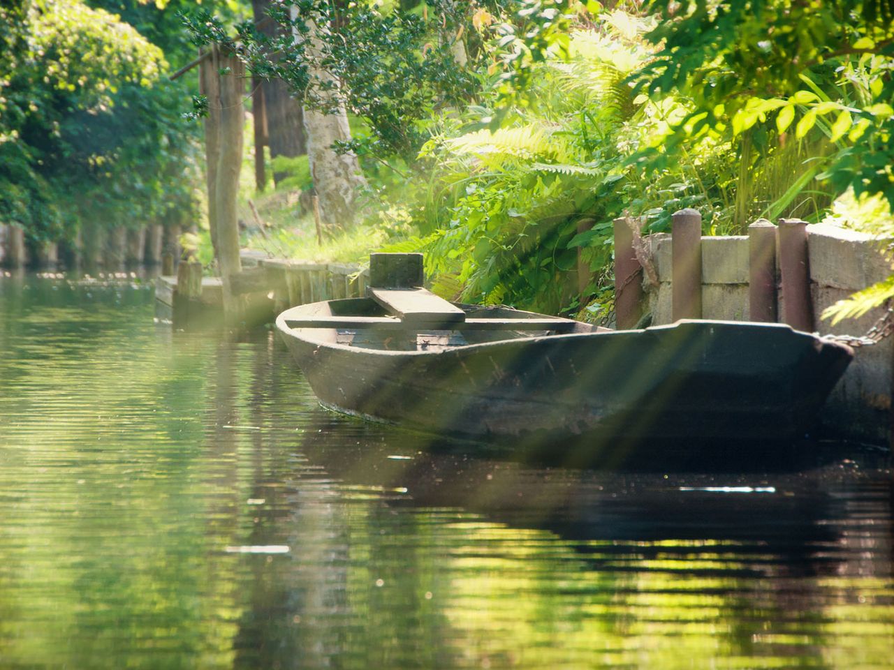 Boot im Spreewald Brandenburg