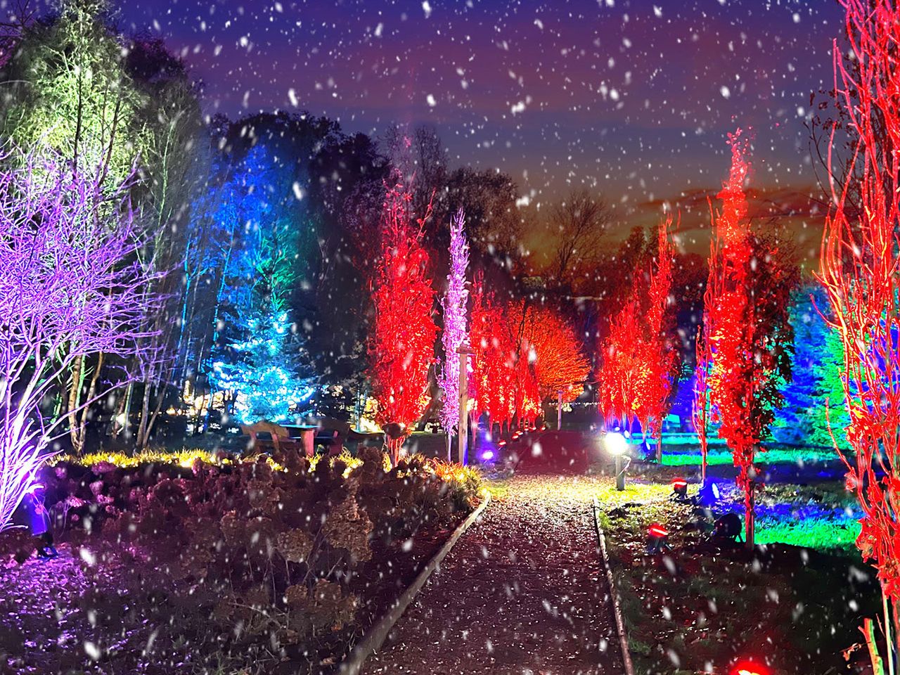 Weihnachtsmarkt im Barfußpark, Friedeburg