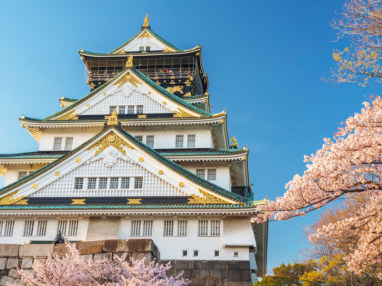Burg Osaka zur Kirschblüte, Japan