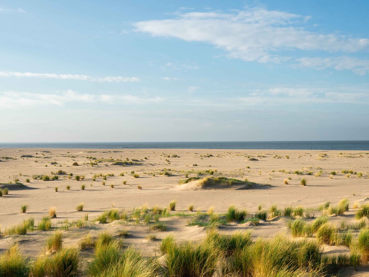 Dünen und Meer in Maasvlaktestrand, Rotterdam, Niederlande