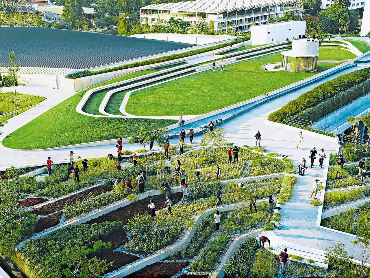 Thammat Urban Rooftop Farm, Bangkok, Thailand