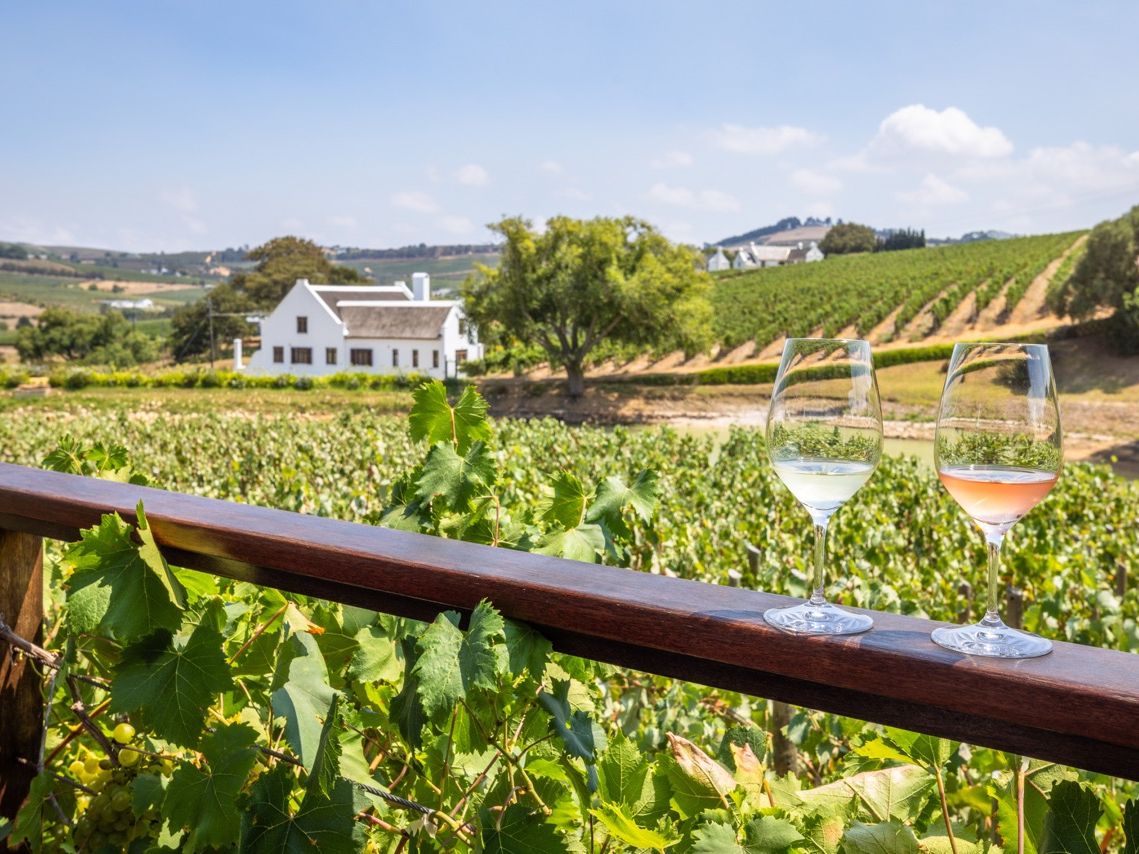 SA_Weinberge_shutterstock_2420887789