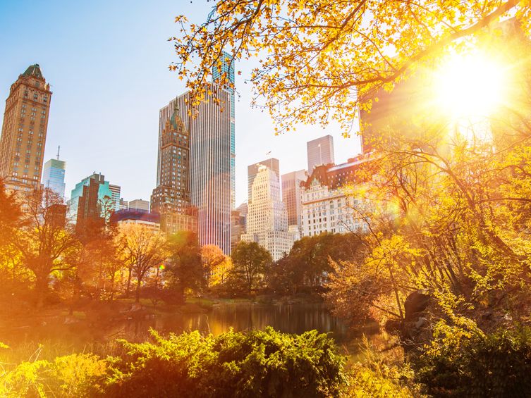 Herbstlicher Central Park, New York City