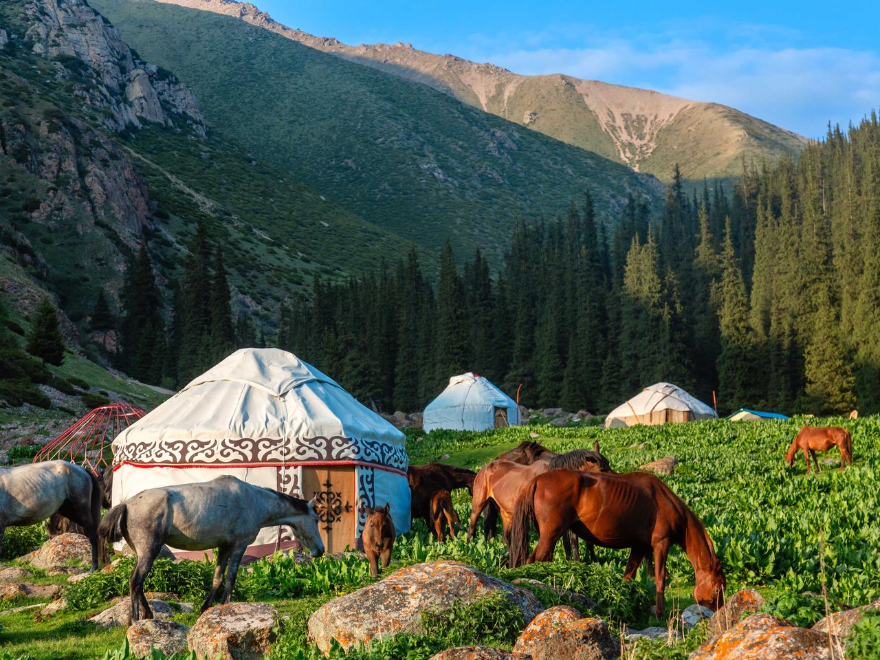 Jurte und Pferde im Altyn-Arashan-Tal in Kirgisistan