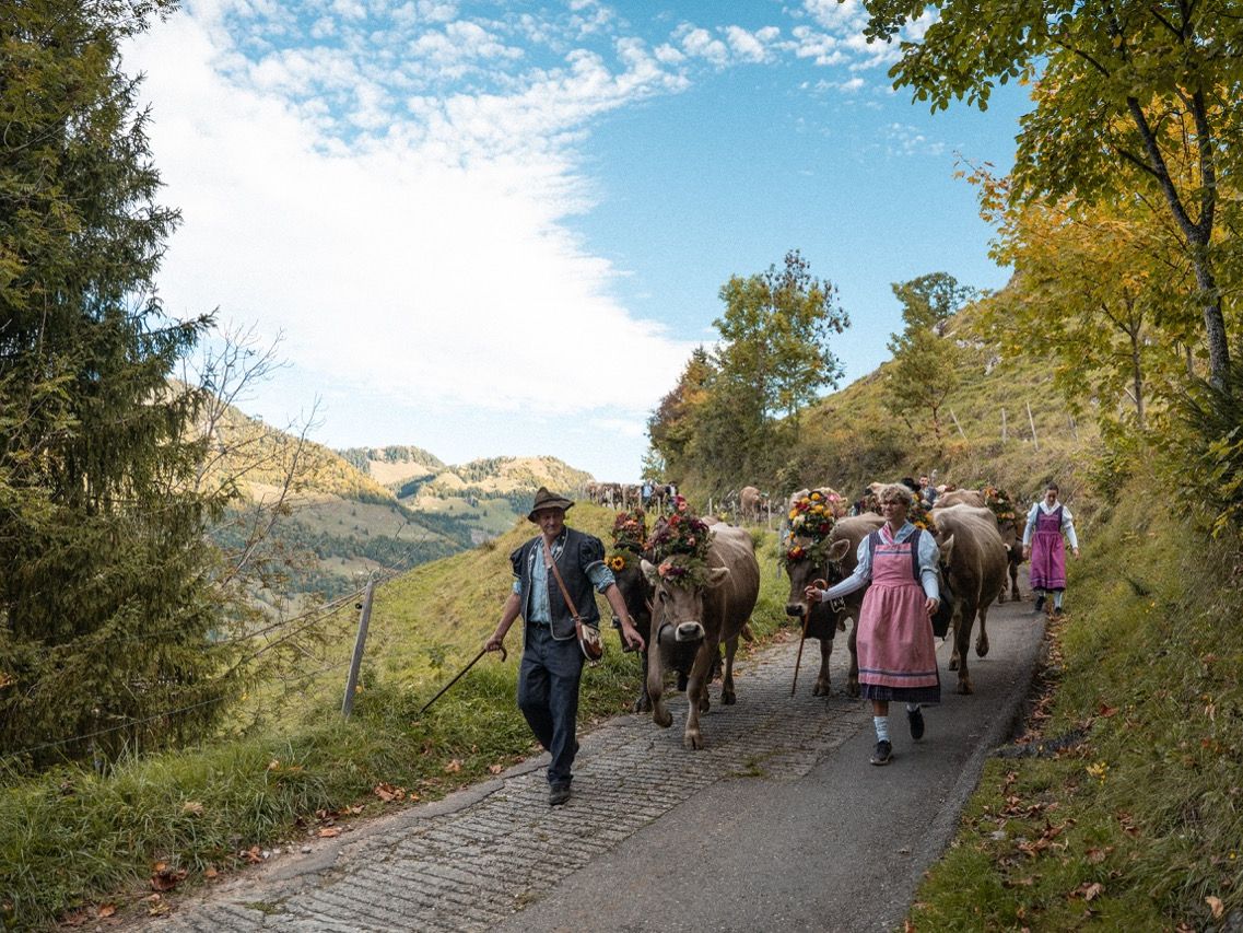 Groß (LaGruyere-Intyamon_Ref.GU_04.10.2025_034)