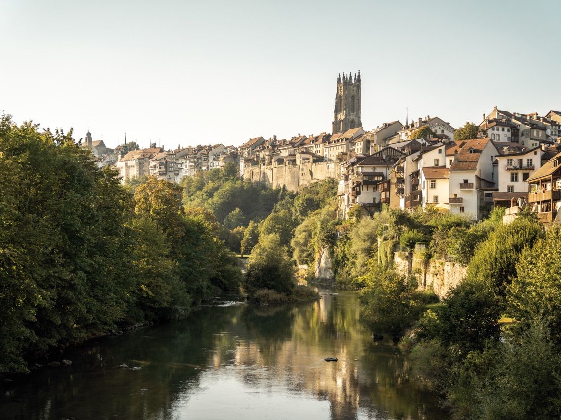 Gro&szlig; ( Ref.FR_14.09.2020_027)