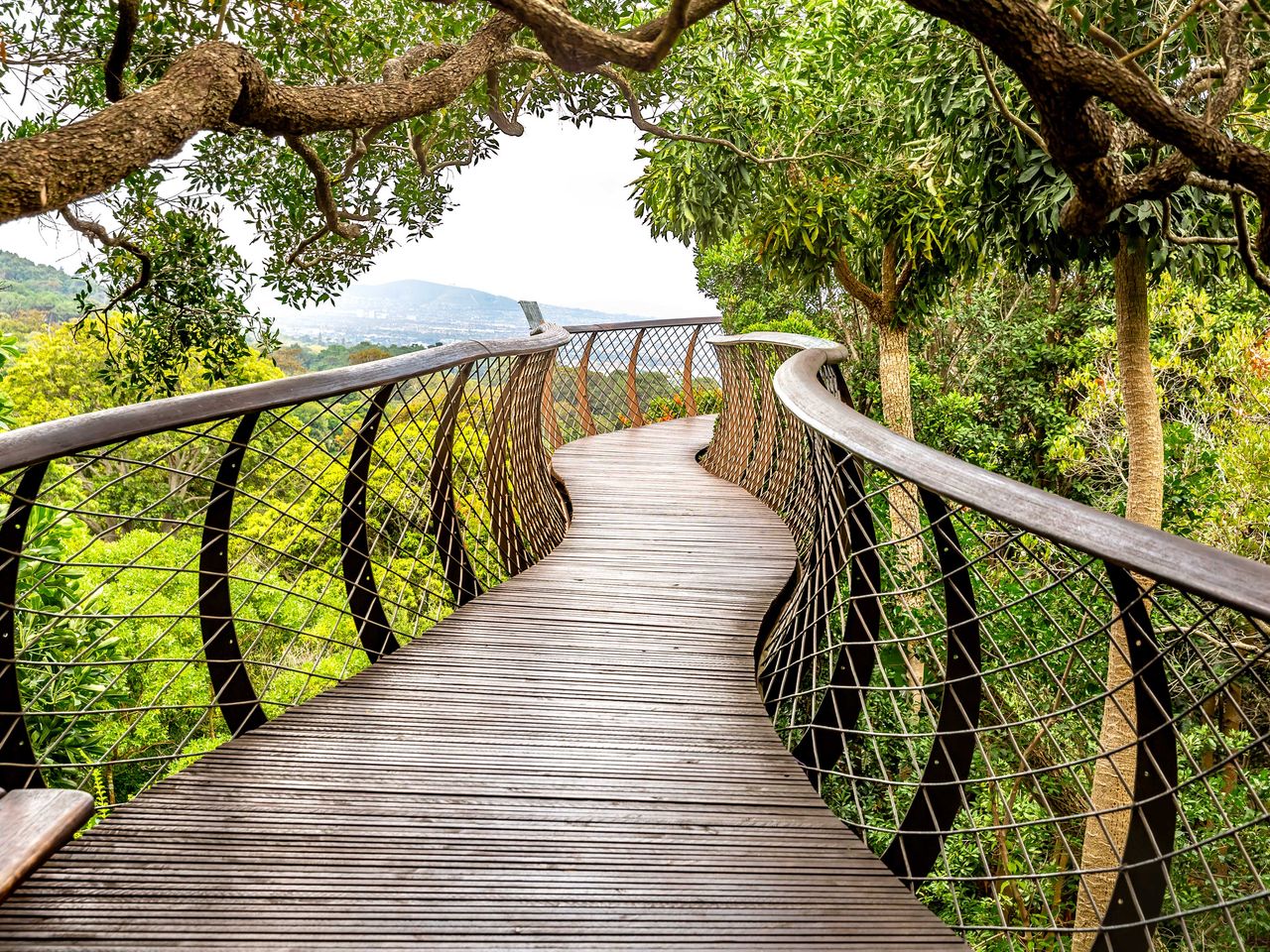 &bdquo;The Boomslang&ldquo; im Botanischen Garten Kirstenbosch, Kapstadt