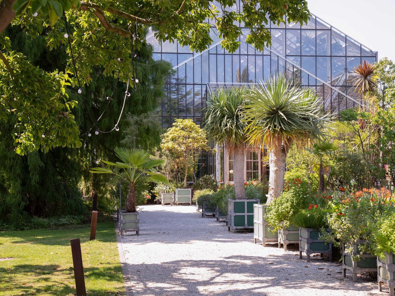 Gewächshaus im Hortus Botanicus in Leiden, Holland