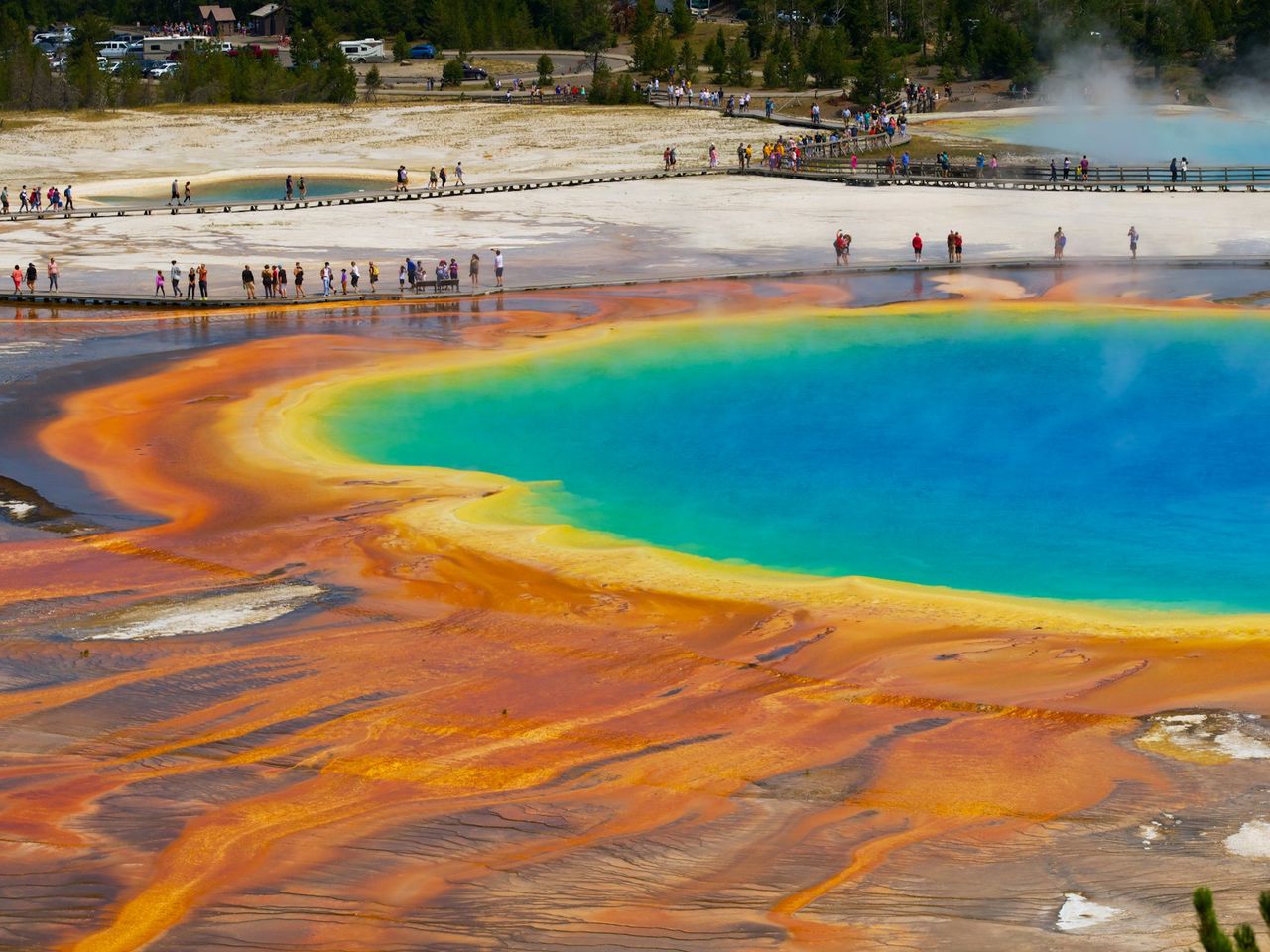 Yellowstone Nationalpark, Hermelin