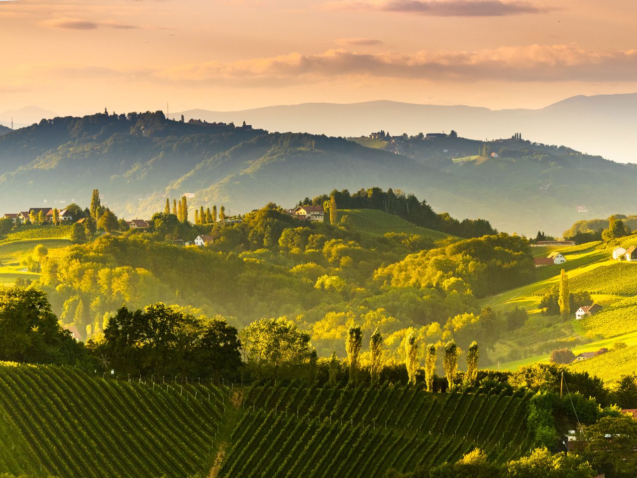  S&uuml;dsteirische Weinberglandschaft in der N&auml;he von Gamlitz