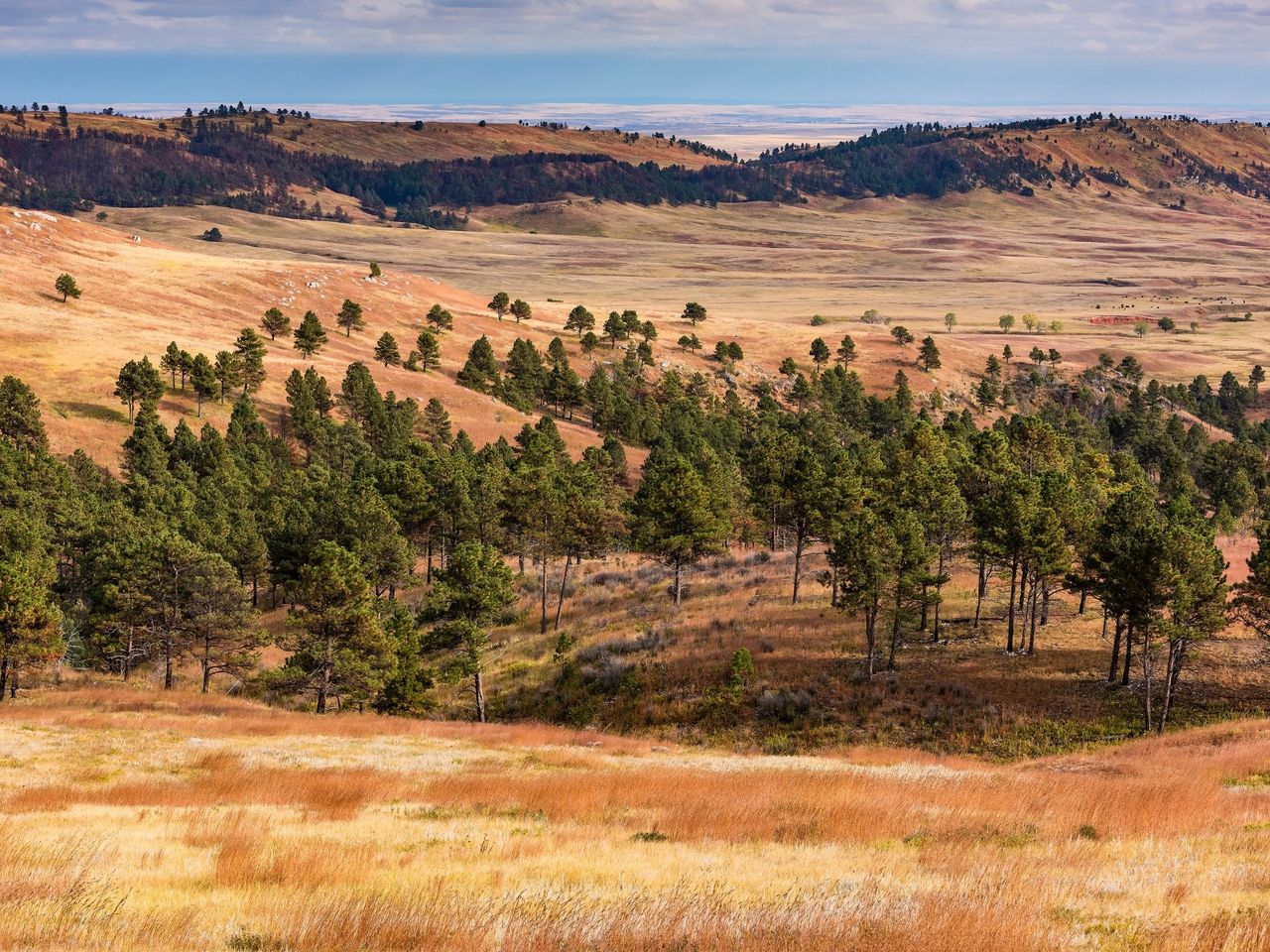 Pr&auml;rie im Wind Cave National Park, South Dakota