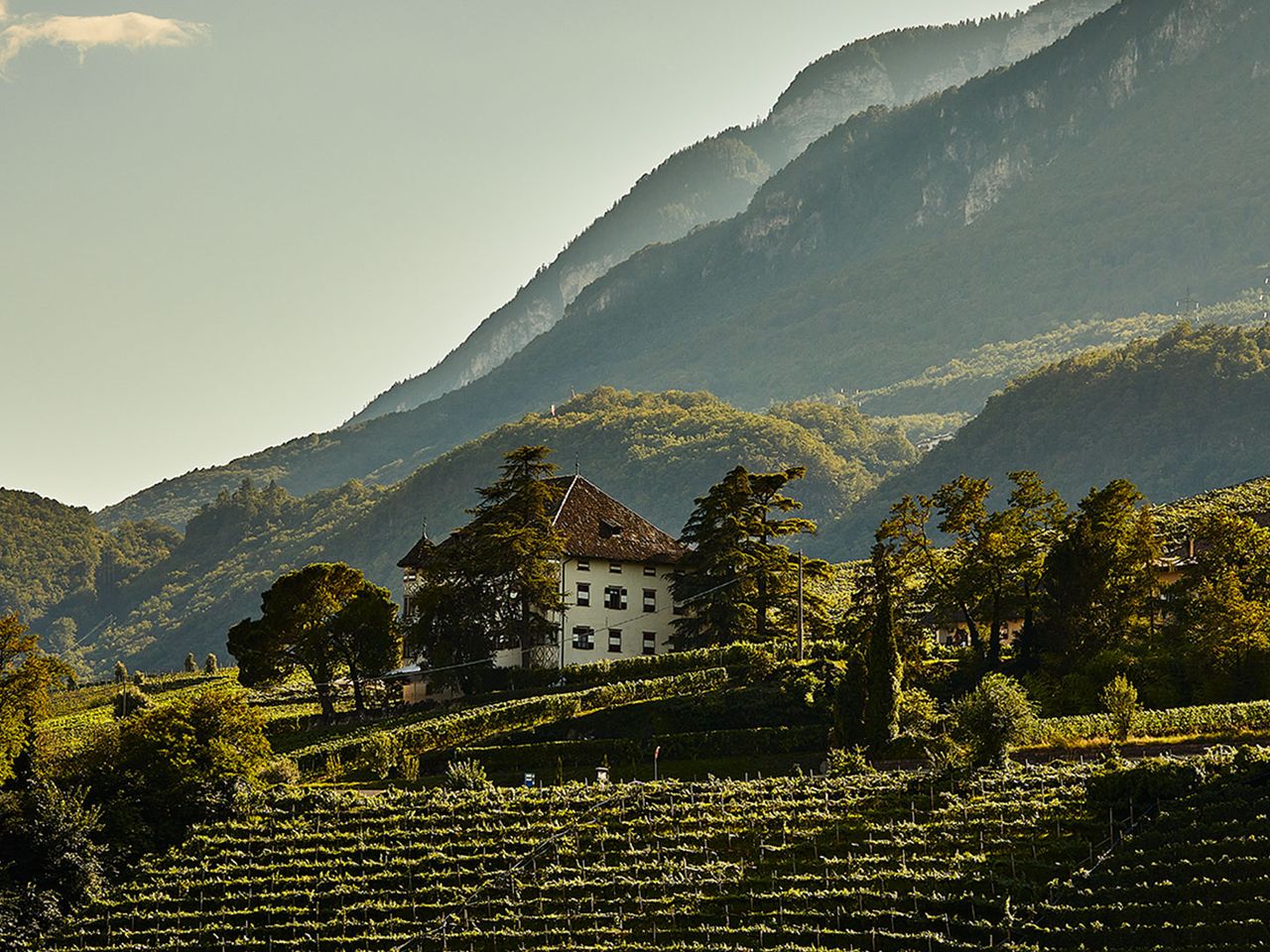 Weingut Elena Walch