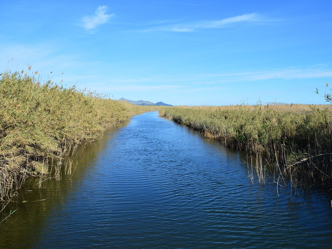 Mallorca Parc Natural S'Albufera