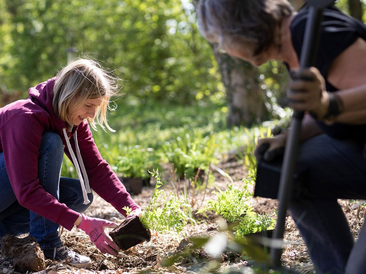Gut Saunstorf Gartenarbeit