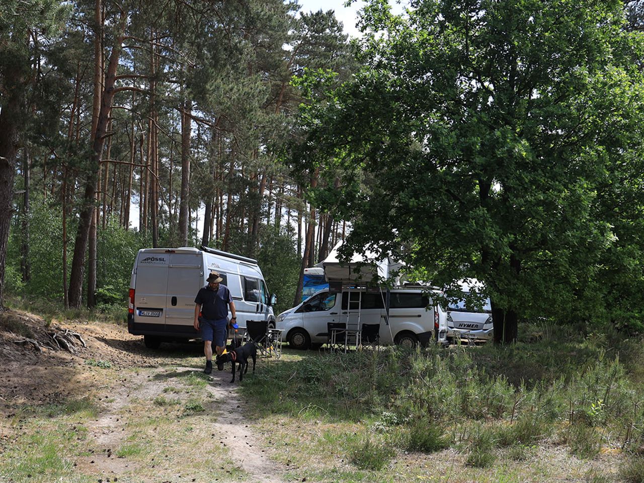 Lüneburger Heide, Stellplatz Schwindebecker Heide