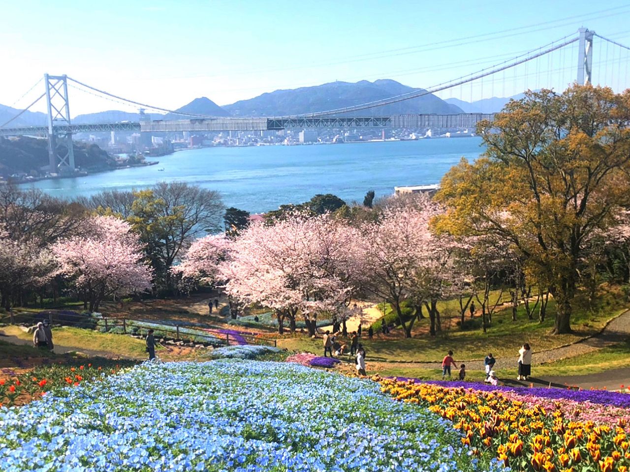 Blick auf den Hinoyama Park und buntes Tulpenmeer