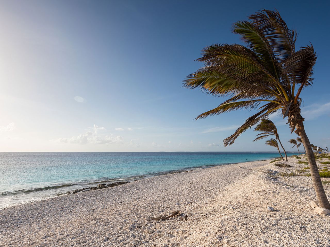 Verlassener Strand auf Bonaire
