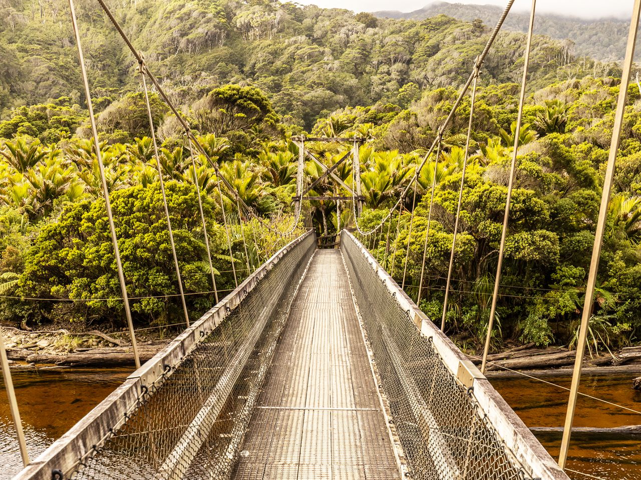 Heaphy Track Bridge