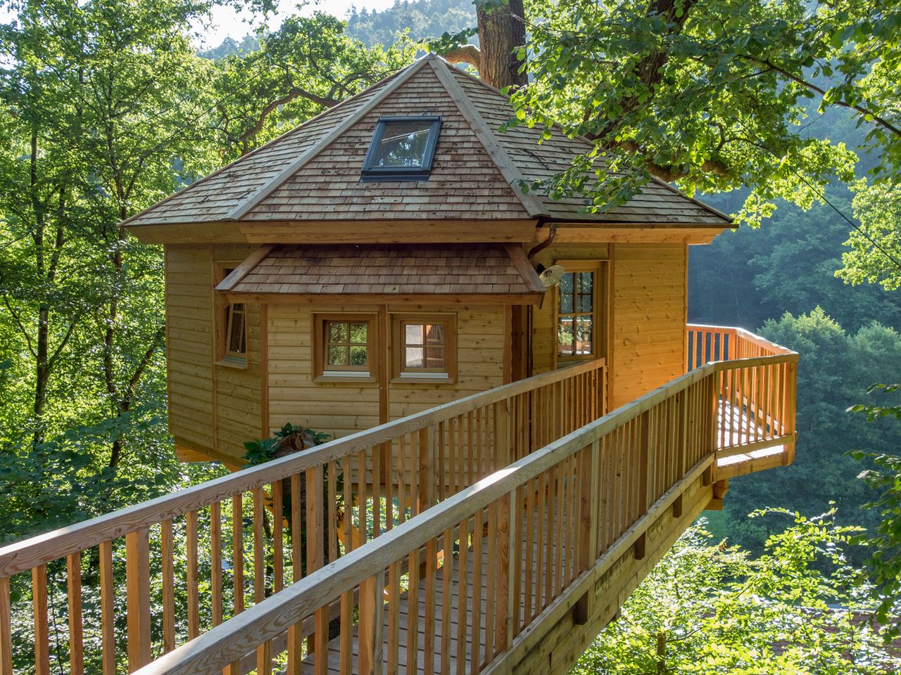 Blick auf ein Baumhaus im Baumhaushotel Seemühle