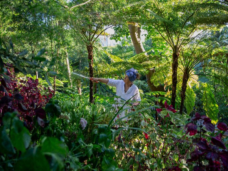 Wendy Whiteley Secret Garden, Sydney