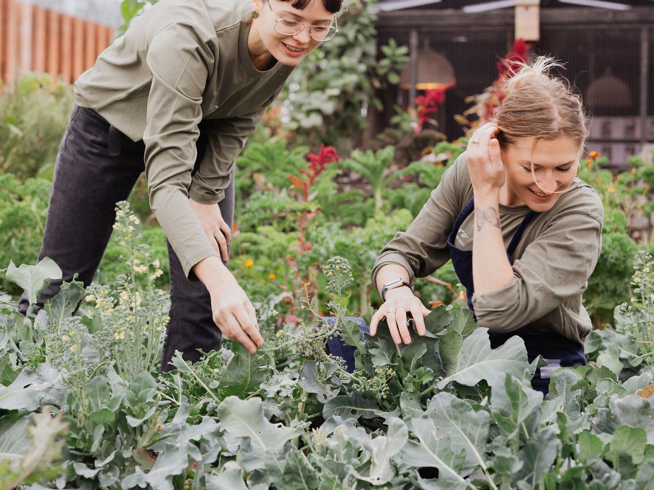 ØsterGRO Gardening Kopenhagen