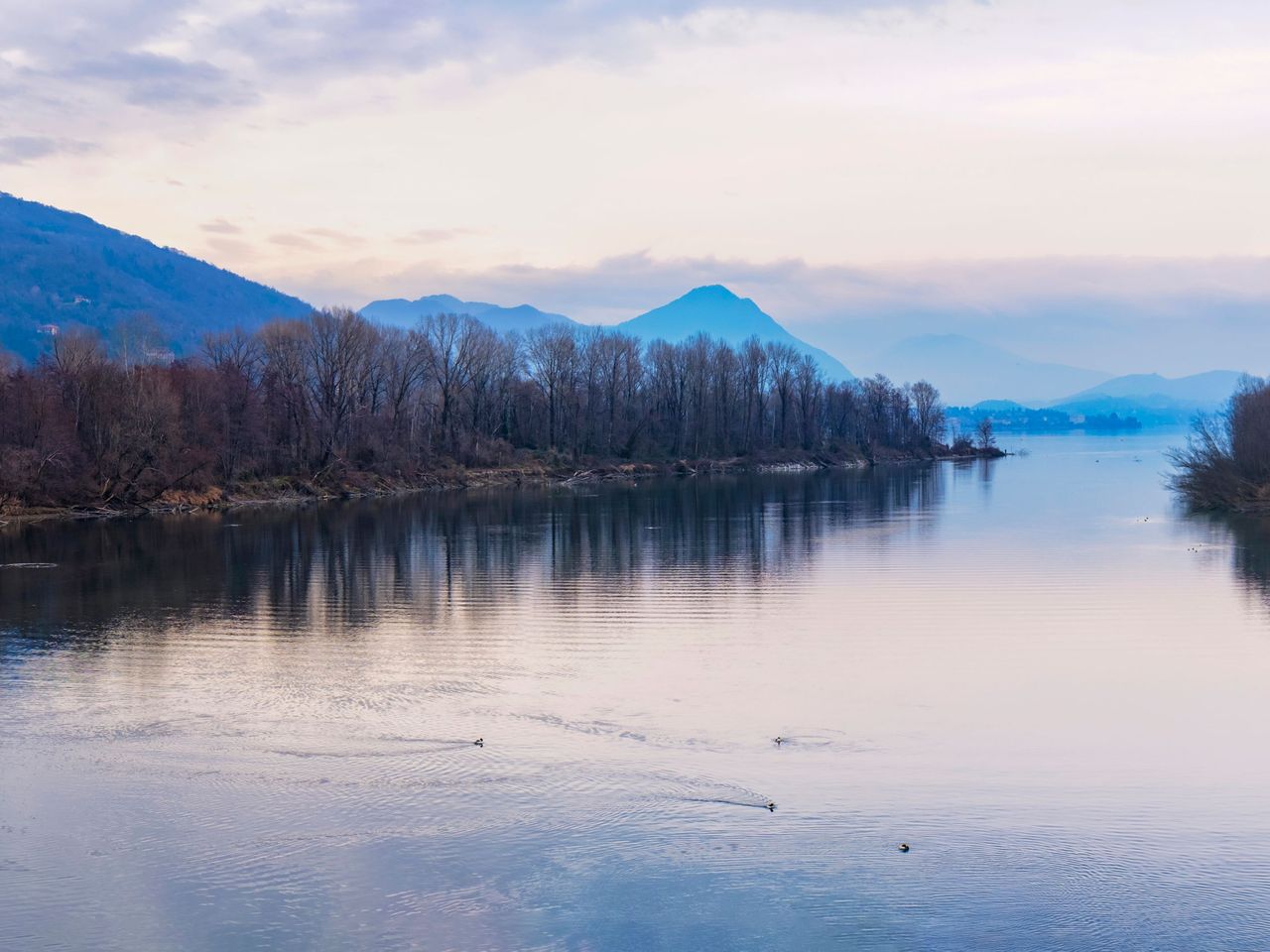 Riserva Naturale Speciale di Fondotoce im Herbst