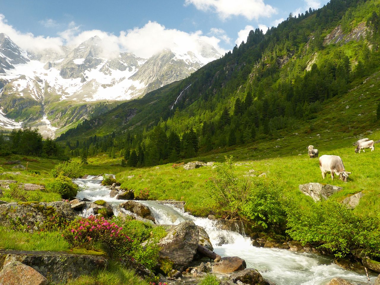 Ziller fließt durchs Zillertal, Österreich
