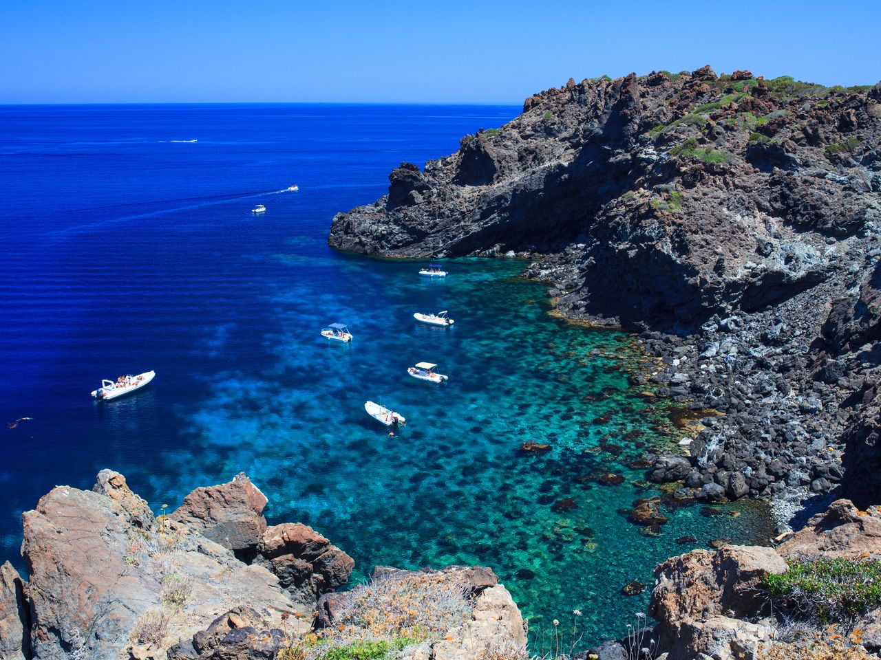 Nahaufnahme Kaper, Pantelleria