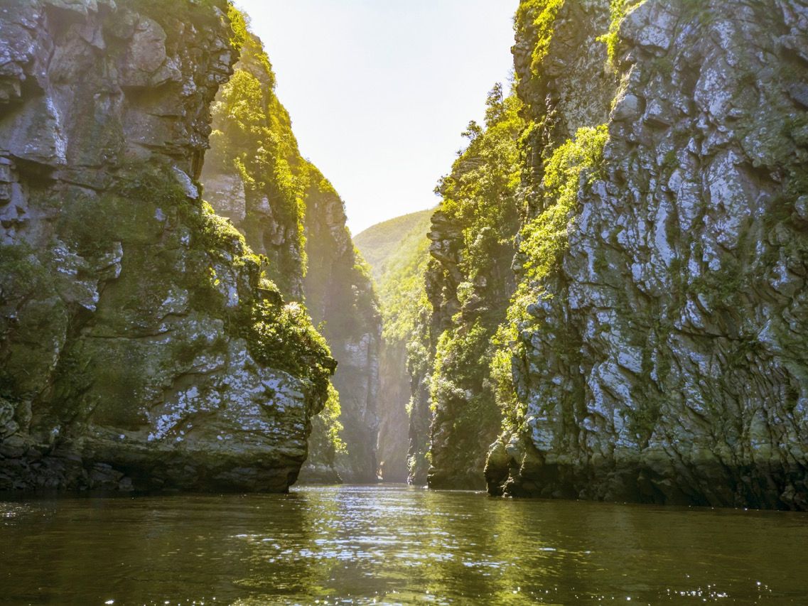 SA_Tsitsikamma_shutterstock_508775146