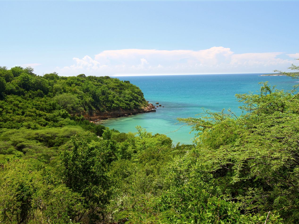 Guánica State Forest Reserve, Puerto Rico