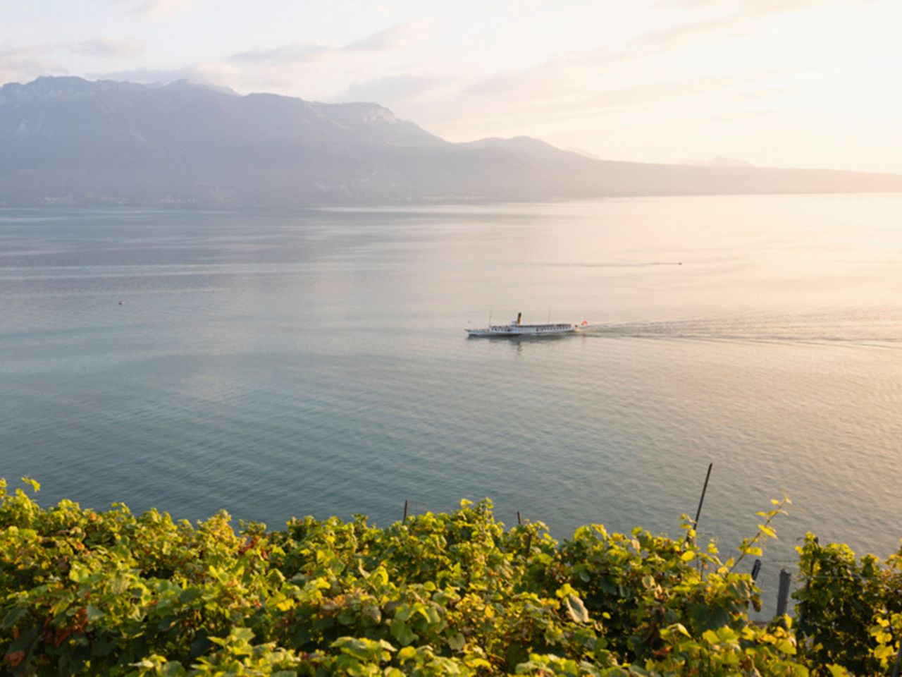 Schweiz Lavaux