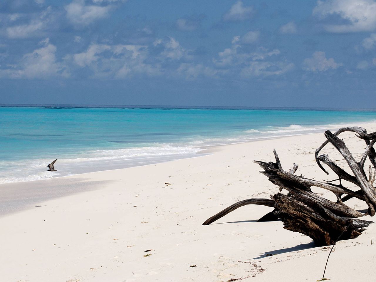 Bird Island, Seychellen