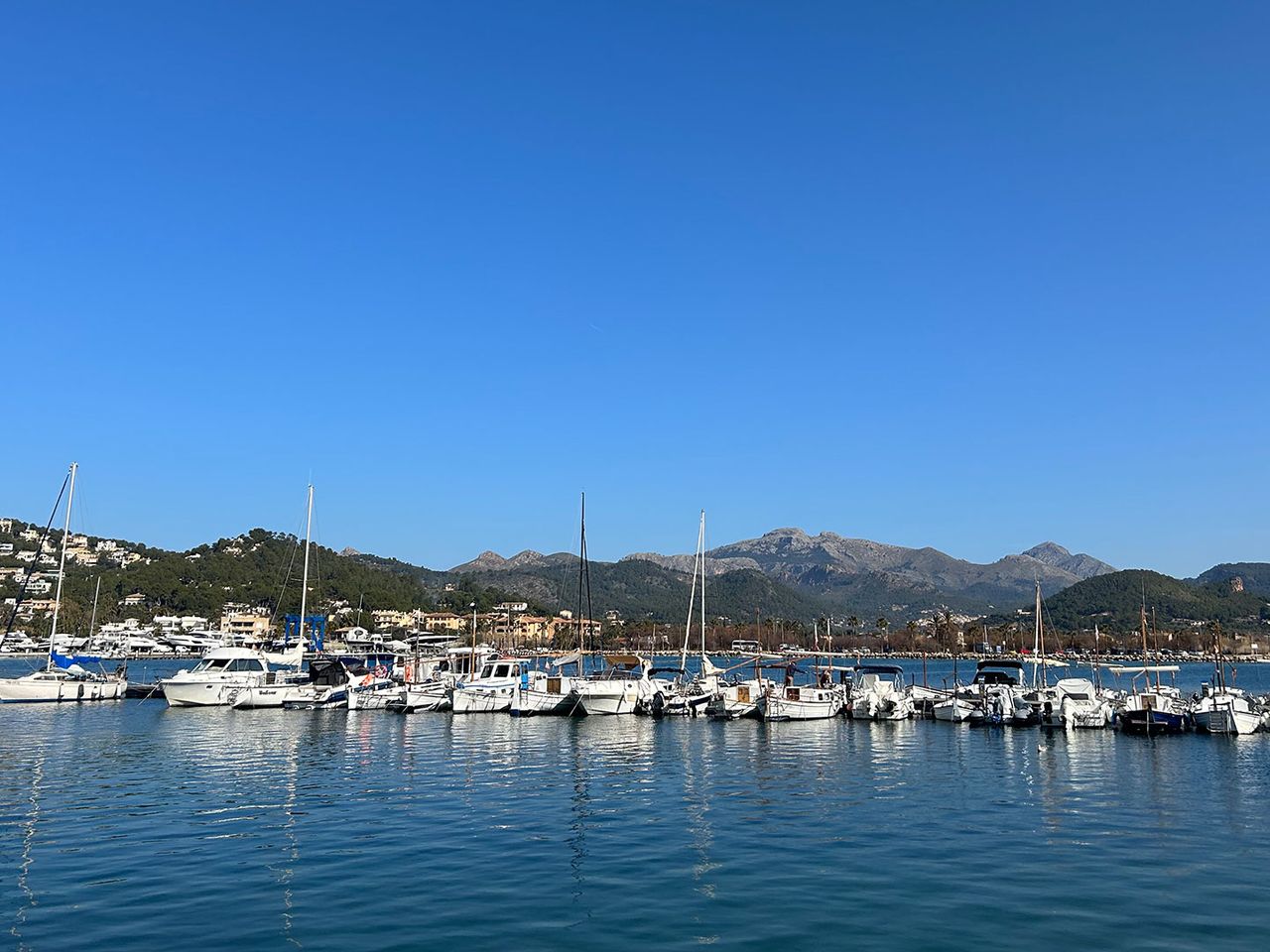 Hafen, Port d’Andratx