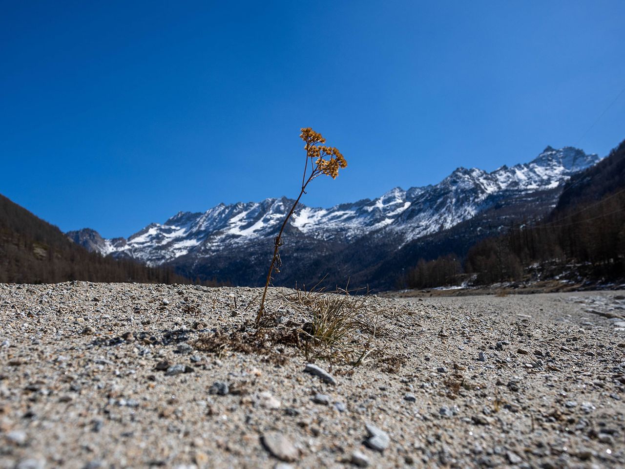 Dürre in Norditalien, am Lago di Ceresole