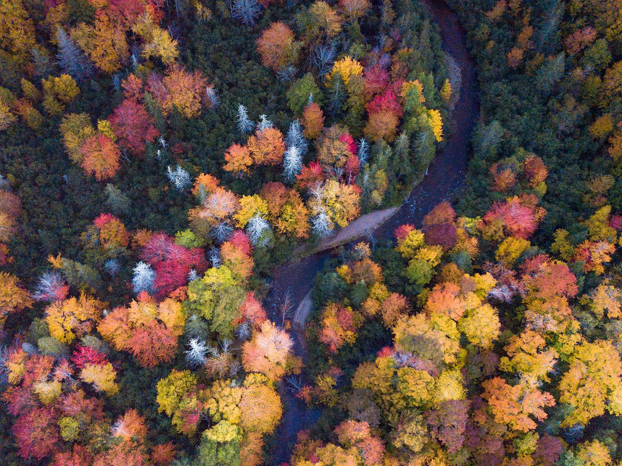 Wentworth Valley in Nova Scotia