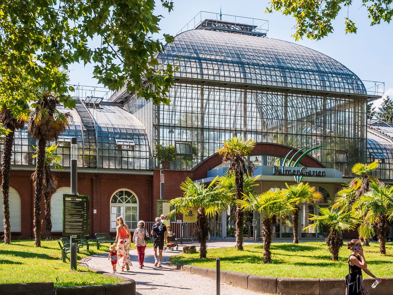Palmengarten in Frankfurt am Main im Sommer