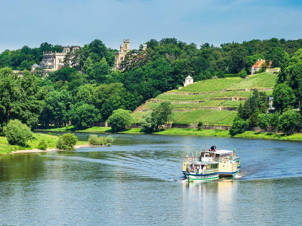 Elbhänge in Dresden Loschwitz
