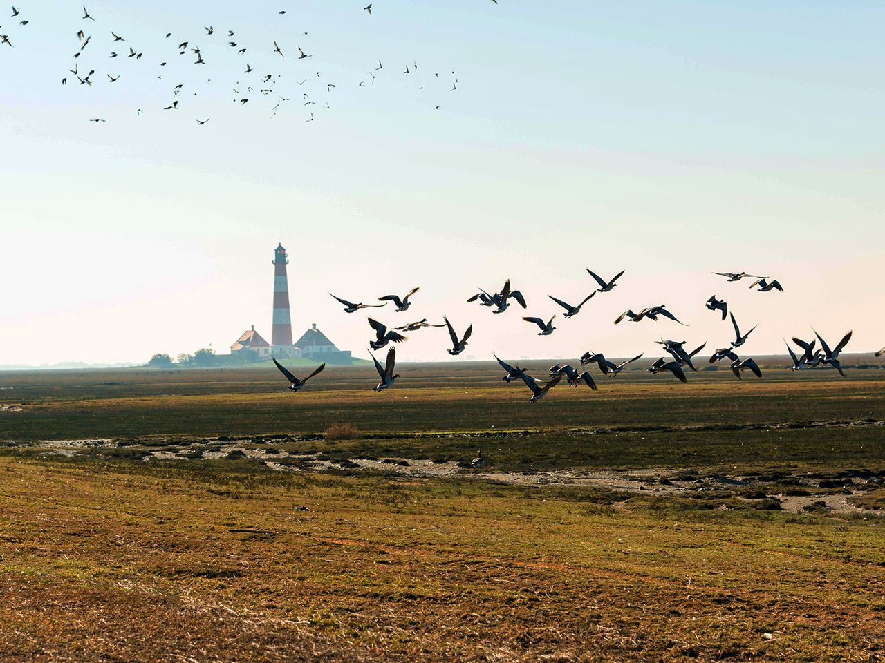 Westerhever Leuchtturm, Schleswig-Holstein