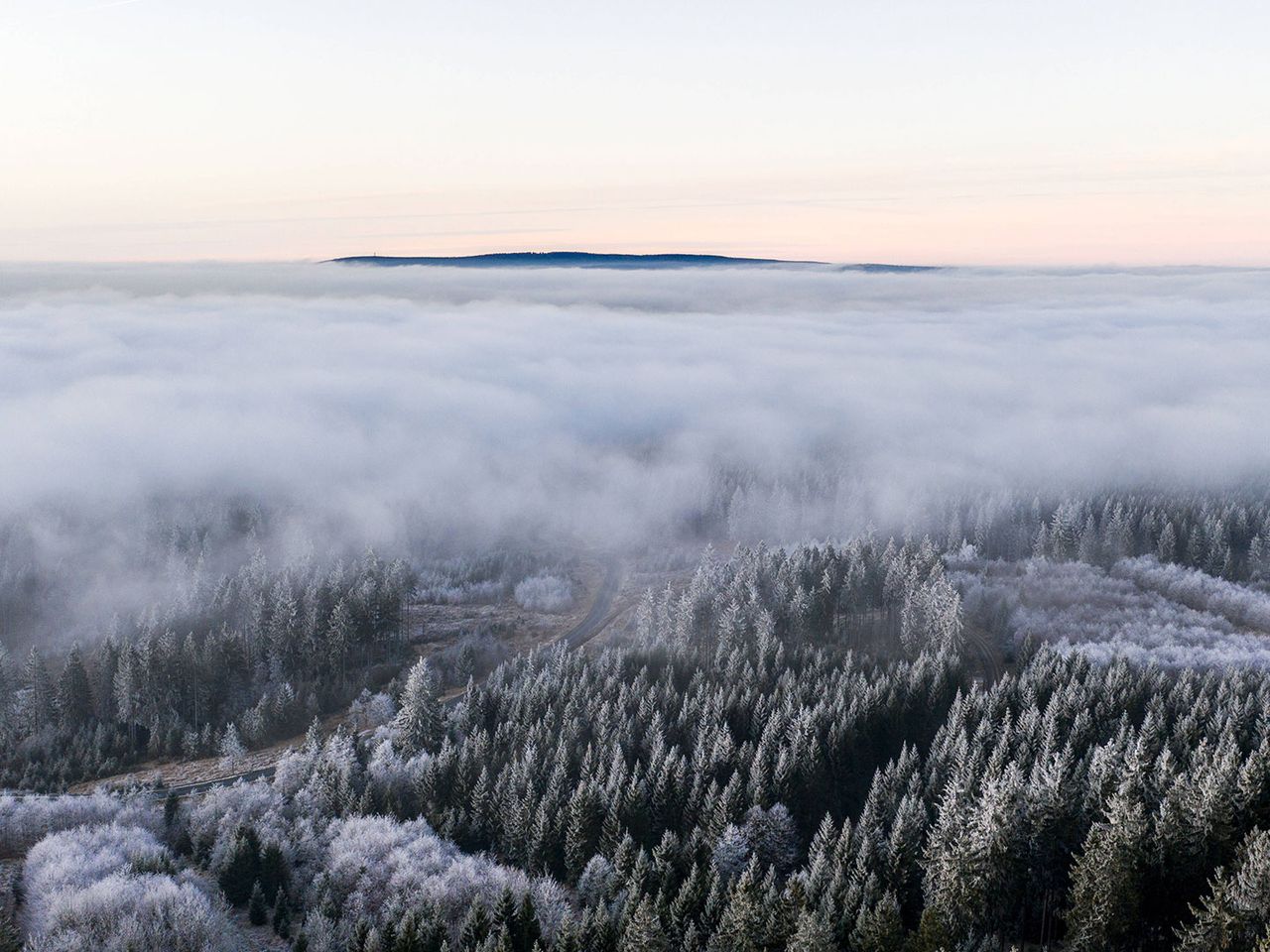 Blick von oben auf Wald in Altenau
