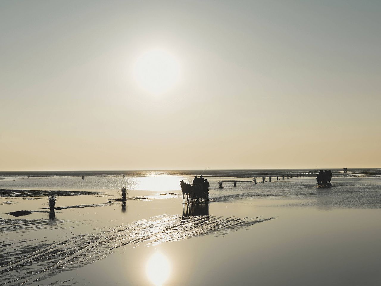Hamburger Insel Neuwerk in der Nordsee