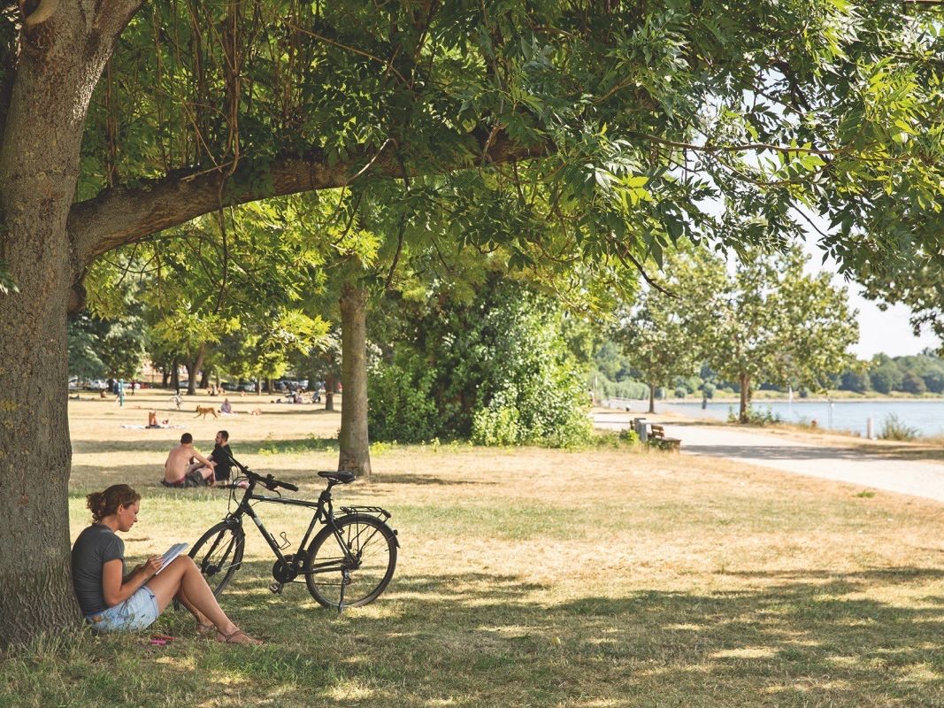Grünfläche an der Mündung des Neckar in den Rhein