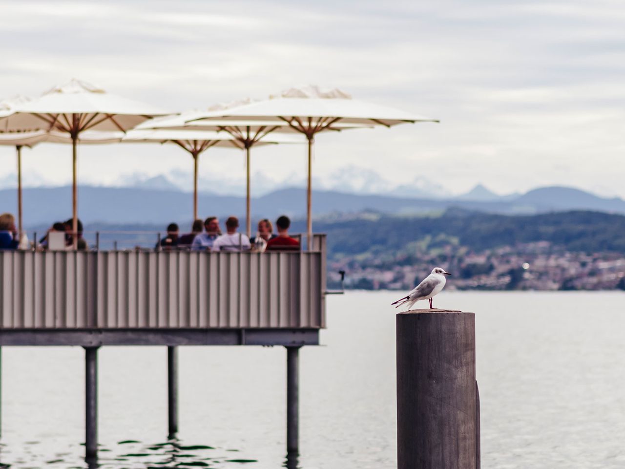 Aussicht auf die Terrasse der Fischerstube Zürihorn, Zürich