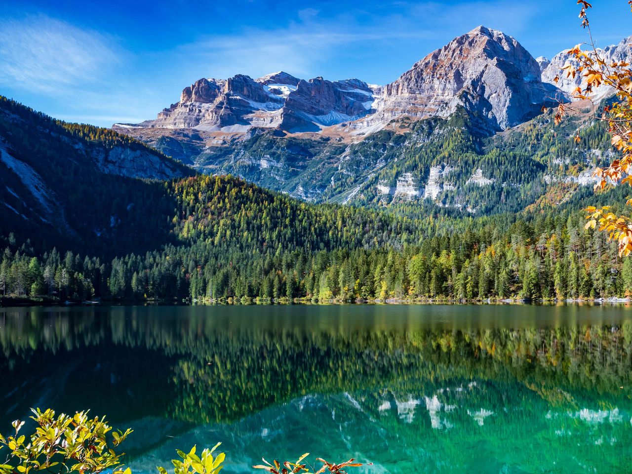 Grünes Wasser im Bergsee Lago di Tovel, Trentino, Italien