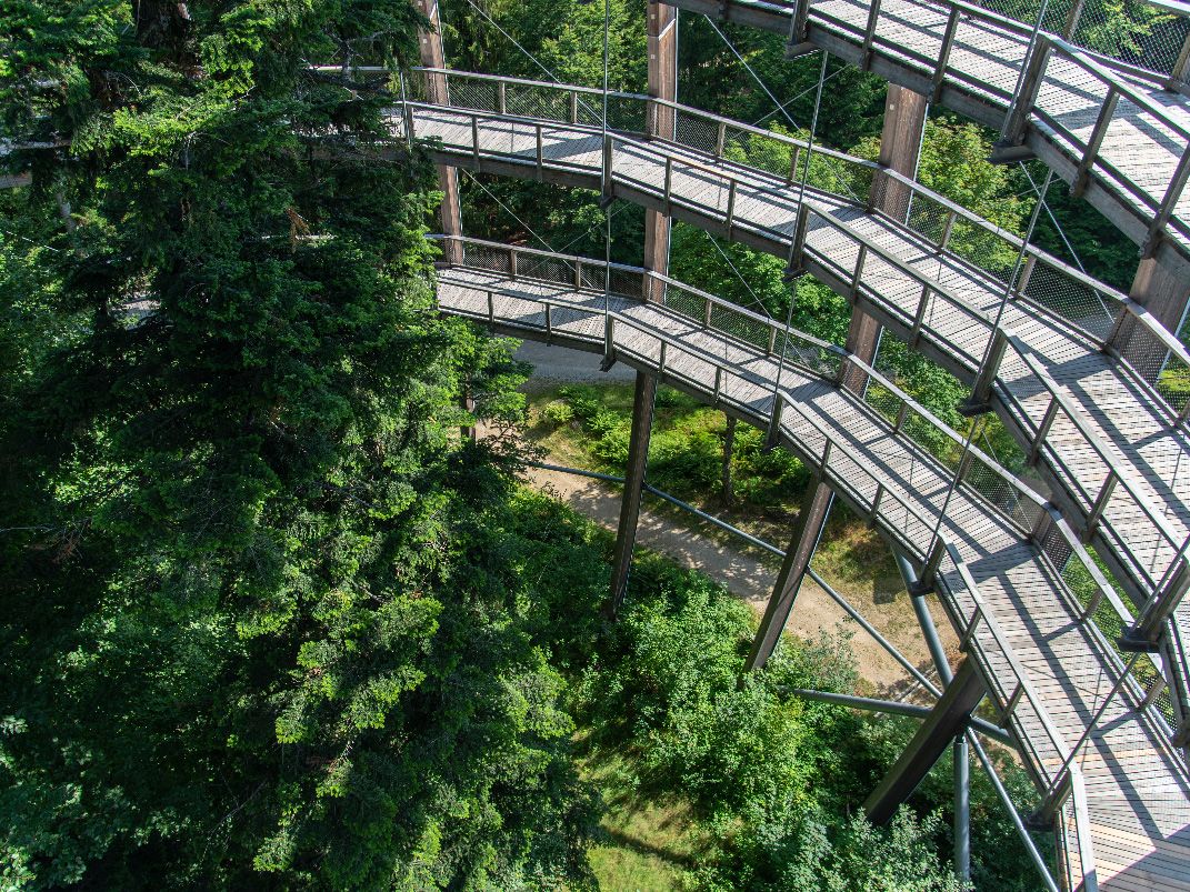 Hölzerner Baumwipfelpfad im Bayerischen Wald