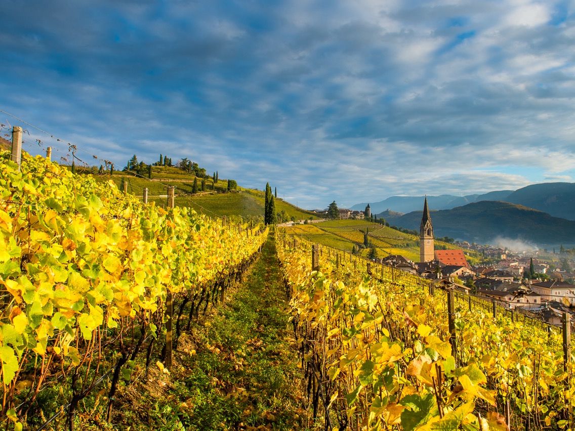 Tramin_(c) TV Tramin_Antie Braito)