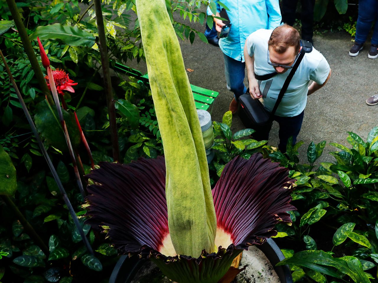 &Ouml;kologisch-Botanischer Garten, Bayreuth