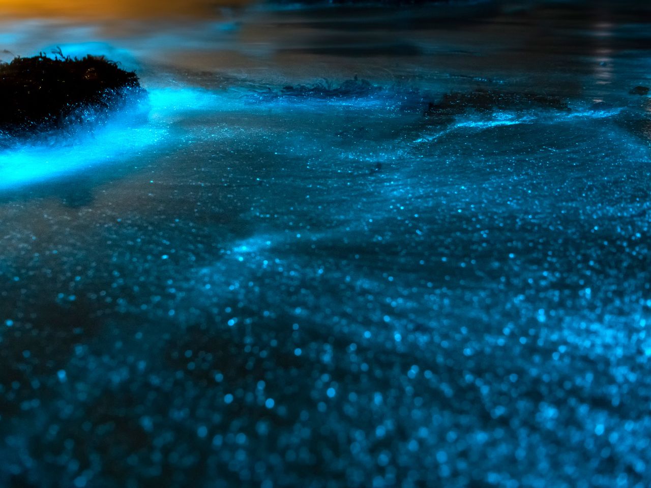 Strand und Meer mit leuchtender Bioluminiszenz