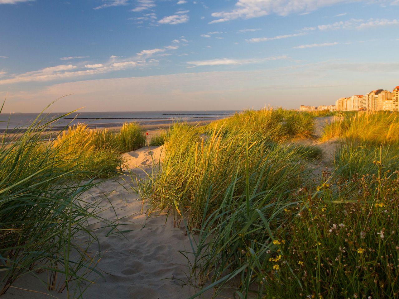Dünen in Knokke-Heist, belgische Nordseeküste